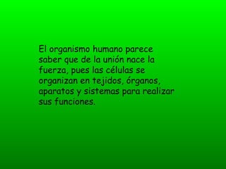 El organismo humano parece
saber que de la unión nace la
fuerza, pues las células se
organizan en tejidos, órganos,
aparatos y sistemas para realizar
sus funciones.
 