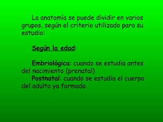 La anatomía se puede dividir en varios
grupos, según el criterio utilizado para su
estudio:

   Según la edad:

    Embriológica: cuando se estudia antes
del nacimiento (prenatal)
    Postnatal: cuando se estudia el cuerpo
del adulto ya formado.
 