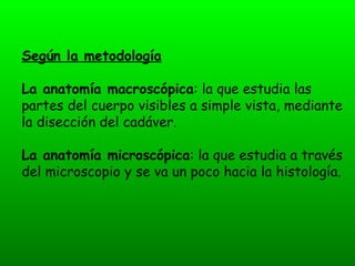 Según la metodología

La anatomía macroscópica: la que estudia las
partes del cuerpo visibles a simple vista, mediante
la disección del cadáver.

La anatomía microscópica: la que estudia a través
del microscopio y se va un poco hacia la histología.
 