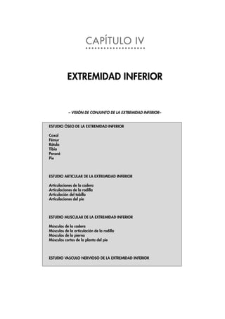 CAPÍTULO IV
EXTREMIDAD INFERIOR
ESTUDIO ÓSEO DE LA EXTREMIDAD INFERIOR
Coxal
Fémur
Rótula
Tibia
Peroné
Pie
ESTUDIO ARTICULAR DE LA EXTREMIDAD INFERIOR
Articulaciones de la cadera
Articulaciones de la rodilla
Articulación del tobillo
Articulaciones del pie
ESTUDIO MUSCULAR DE LA EXTREMIDAD INFERIOR
Músculos de la cadera
Músculos de la articulación de la rodilla
Músculos de la pierna
Músculos cortos de la planta del pie
ESTUDIO VASCULO NERVIOSO DE LA EXTREMIDAD INFERIOR
– VISIÓN DE CONJUNTO DE LA EXTREMIDAD INFERIOR–
 