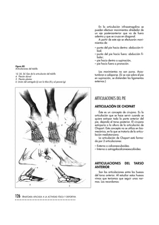 En la articulación infraastragalina se
pueden efectuar movimientos alrededor de
un eje posteroanterior que va de fuera
adentro y que se cruza en diagonal.
A partir de este eje se efectuarán movi-
mientos de:
– punta del pie hacia dentro: abducción ti-
bial;
– punta del pie hacia fuera: abducción fi-
bular;
– pie hacia dentro o supinación,
– pie hacia fuera o pronación.
Los movimientos no son puros. Acos-
tumbran a solaparse. (Si se cae sobre el pie
en supinación, se distienden los ligamentos
externos.)
ARTICULACIONES DEL PIE
ARTICULACIÓN DE CHOPART
Éste es un concepto de cirujano. Es la
articulación que se hace servir cuando se
quiere extirpar toda la parte anterior del
pie, dejando el tarso posterior. El cirujano
extirparía a la altura de la articulación de
Chopart. Este concepto no se utiliza en bio-
mecánica, en la que se trataría de la articu-
lación mediotarsiana.
La articulación de Chopart está forma-
da por 2 articulaciones:
– Externa o calcaneocuboidea.
– Interna o astragalocalcaneoescafoidea.
ARTICULACIONES DEL TARSO
ANTERIOR
Son las articulaciones entre los huesos
del tarso anterior. Al estudiar estos huesos
vimos que teníamos que seguir unas nor-
mas. Las recordamos:
126 ANATOMÍA APLICADA A LA ACTIVIDAD FÍSICA Y DEPORTIVA
Figura 80.
Articulaciones del tobillo
1d, 2d, 3d. Ejes de la articulación del tobillo
4. Flexión dorsal
5. Flexión plantar
6. Unión del astrágalo (j) con la tibia (h) y el peroné (g)
d
d
d
1 2
3
g
h
j
6
e
f
5
4
 