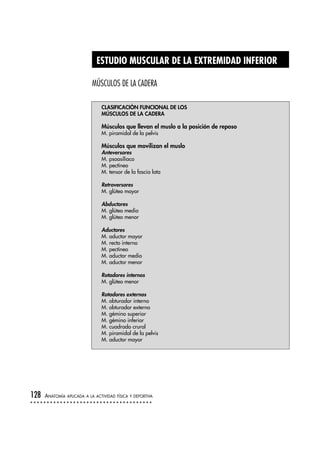 ESTUDIO MUSCULAR DE LA EXTREMIDAD INFERIOR
MÚSCULOS DE LA CADERA
128 ANATOMÍA APLICADA A LA ACTIVIDAD FÍSICA Y DEPORTIVA
CLASIFICACIÓN FUNCIONAL DE LOS
MÚSCULOS DE LA CADERA
Músculos que llevan el muslo a la posición de reposo
M. piramidal de la pelvis
Músculos que movilizan el muslo
Anteversores
M. psoasilíaco
M. pectíneo
M. tensor de la fascia lata
Retroversores
M. glúteo mayor
Abductores
M. glúteo medio
M. glúteo menor
Aductores
M. aductor mayor
M. recto interno
M. pectíneo
M. aductor medio
M. aductor menor
Rotadores internos
M. glúteo menor
Rotadores externos
M. obturador interno
M. obturador externo
M. gémino superior
M. gémino inferior
M. cuadrado crural
M. piramidal de la pelvis
M. aductor mayor
 
