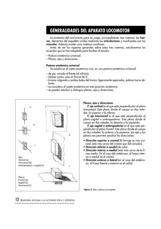 GENERALIDADES DEL APARATO LOCOMOTOR
La anatomía del movimiento pone en juego, principalmente, tres sistemas: los hue-
sos, elementos del esqueleto unidos mediante las articulaciones y movilizados por los
músculos. Además existen unos sistemas auxiliares.
Antes de ver los aspectos generales sobre estos tres sistemas, estudiaremos los
acuerdos que se han adoptado para facilitar el estudio:
– Postura anatómica universal.
– Planos, ejes y direcciones.
Postura anatómica universal
Se estudia en el sujeto anatómico vivo, en una postura anatómica universal:
– de pie, mirada al frente (al infinito);
– talones juntos, pies en forma de V;
– brazos colgando a ambos lados del tronco, ligeramente separados, palmas hacia de-
lante;
– se considera al sujeto anatómico en esta posición anatómica;
– se pueden estudiar o distinguir planos, ejes y direcciones.
Planos, ejes y direcciones
El eje vertical es el que está perpendicular al plano
transversal. Este plano divide el cuerpo en dos mita-
des: la superior y la inferior.
El eje transversal es el que está perpendicular al
plano sagital o anteroposterior. Este plano divide el
cuerpo en dos mitades: la derecha y la izquierda.
El eje sagital o anteroposterior es el que está per-
pendicular al plano frontal. Este plano divide el cuerpo
en dos mitades: la anterior y la posterior. Los ejes y los
planos nos permiten estudiar las direcciones:
• Dirección superior o craneal (la laringe es más cra-
neal, está más cerca del cráneo que del corazón).
• Dirección inferior o caudal (de cola).
• Dirección interna o medial (está más cerca de la lí-
nea media. En el caso del antebrazo, el hueso inter-
no o medial es el cúbito).
• Dirección externa o lateral (en el caso del antebra-
zo, el hueso lateral o externo es el radio).
12 ANATOMÍA APLICADA A LA ACTIVIDAD FÍSICA Y DEPORTIVA
a
b
c
a
b
c
Figura 2. Ejes y planos principales
Ejes:
Vertical (a)
Transversal (b)
Anteroposterior o sagital (c)
Planos:
Frontal (a)
Sagital (b)
Transversal (c)
 