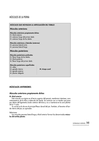 MÚSCULOS QUE MOVILIZAN LA ARTICULACIÓN DEL TOBILLO
Músculos anteriores
Músculos anteriores propiamente dichos
M. tibial anterior
M. extensor largo del primer dedo
M. extensor largo de los dedos
Músculos anteriores y laterales (externos)
M. peroneo lateral corto
M. peroneo lateral largo
Músculos posteriores
Músculos posteriores profundos
M. flexor largo de los dedos
M. tibial posterior
M. flexor largo del primer dedo
Músculos posteriores superficiales
M. sóleo
M. gemelo interno M. tríceps sural
M. gemelo externo
M. plantar delgado
EXTREMIDAD INFERIOR 141
MÚSCULOS DE LA PIERNA
MÚSCULOS ANTERIORES
Músculos anteriores propiamente dichos
M. tibial anterior
Este músculo se origina en el tercio superior del peroné, membrana interósea, cara
anteroexterna de la tibia y tubérculo de Gerdy. Se continúa con un tendón que pasa
por detrás del ligamento anular anterior del tarso y va a insertarse en la cara plantar
de la 1ª cuña.
Su acción es la de ser el principal flexor dorsal del pie. También, al levantar el bor-
de interno del pie, es supinador.
Relaciones
Los músculos peroneo lateral largo y tibial anterior forman los denominados múscu-
los del estribo plantar.
 