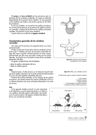 El cuerpo y el arco vertebral son las estructuras más im-
portantes de las unidades vertebrales. El cuerpo es diferente
dependiendo de la posición de la vértebra. Es más pequeño
en las vértebras cervicales y más ancho y grueso en las vérte-
bras lumbares.
En el arco, también, se encuentran las apófisis articulares.
Por encima de las láminas se encuentran las apófisis articula-
res craneales, y debajo de las láminas las apófisis articulares
caudales. Se articulan con las otras vértebras.
A partir del arco se delimita el agujero vertebral.
Características generales de las vértebras
cervicales
Son siete, pero la primera y la segunda tienen una visión
particularizada.
El atlas es el primer hueso de la columna vertebral y por lo
tanto es la 1ª vértebra cervical. Se encuentra justamente de-
bajo del hueso occipital. Anatómicamente no tiene cuerpo.
Está formado por dos arcos que están unidos por las masas
laterales. Se articula con el occipital a través de las cavidades
glenoideas del atlas.
El agujero vertebral tiene dos finalidades:
– alojar la apófisis odontoides del axis,
– alojar la médula espinal.
Atlas
Posteriormente, el atlas termina en el tubérculo dorsal (vesti-
gio de la apófisis espinosa). En la parte ventral (central) presenta
una cara articular (apófisis odontoides del axis).
Presenta dos orificios laterales, en los vestigios de las apófisis
transversas, por donde pasarán las arterias vertebrales. En la ca-
ra inferior presenta unas caras articulares destinadas a la unión
con el axis.
Axis
Es la segunda vértebra cervical. Lo más importante
es el saliente en su parte ventral parecido a un diente o
una avellana, llamada apófisis odontoidea. Se introdu-
ce en la parte anterior del agujero vertebral del atlas y
forma una articulación trocoidea.
TRONCO, CUELLO Y CABEZA 27
Figura 8 a. Esquema de la estructura
“arquitectónica” de la vértebra
14
2
2 1
155
3
4 4 3
2
2
3
Vértebra normal
Vista posterior Vista lateral Vista anterior
Vista superior
A
Figura 8 b. Atlas, axis y vértebra cervical
A. Atlas (vistas superior, posterior, lateral y anterior)
1. Arco anterior
2. Apófisis articular
3. Masas laterales
4. Arco posterior con apófisis espinosa
5. Superficie articular inferior para el axis
 