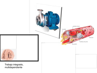 Trabajo integrado, 
multidependiente 
 