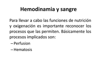 Hemodinamia y sangre 
Para llevar a cabo las funciones de nutrición 
y oxigenación es importante reconocer los 
procesos que las permiten. Básicamente los 
procesos implicados son: 
– Perfusion 
–Hematosis 
 