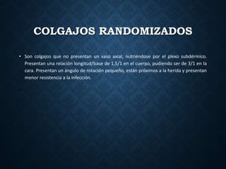 COLGAJOS RANDOMIZADOS
• Son colgajos que no presentan un vaso axial, nutriéndose por el plexo subdérmico.
Presentan una relación longitud/base de 1,5/1 en el cuerpo, pudiendo ser de 3/1 en la
cara. Presentan un ángulo de rotación pequeño, están próximos a la herida y presentan
menor resistencia a la infección.
•
 