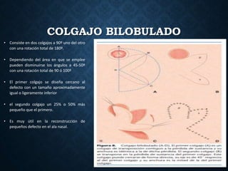 COLGAJO BILOBULADO
• Consiste en dos colgajos a 90º uno del otro
con una rotación total de 180º.
• Dependiendo del área en que se emplee
pueden disminuirse los ángulos a 45-50º
con una rotación total de 90 ó 100º
• El primer colgajo se diseña cercano al
defecto con un tamaño aproximadamente
igual o ligeramente inferior
• el segundo colgajo un 25% o 50% más
pequeño que el primero.
• Es muy útil en la reconstrucción de
pequeños defecto en el ala nasal.
•
 