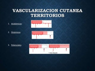 VASCULARIZACION CUTANEA
TERRITORIOS
1. Anatómicos:
2. Dinámicos:
3. Potenciales:
 
