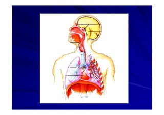 Generalidades Anatomia Parte 2
