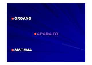 Generalidades Anatomia Parte 2