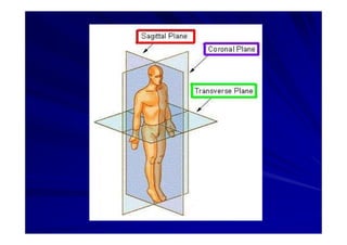 Generalidades Anatomia Parte1