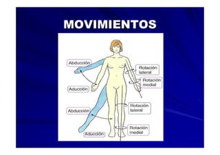 Generalidades Anatomia Parte1