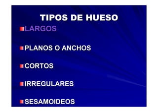 Generalidades Anatomia Parte1