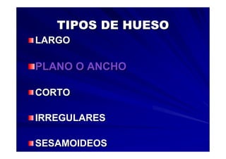 Generalidades Anatomia Parte1