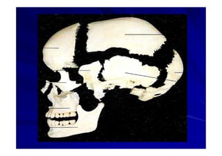 Generalidades Anatomia Parte1