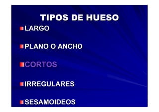 Generalidades Anatomia Parte1