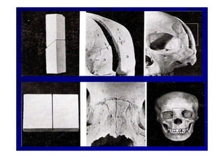 Generalidades Anatomia Parte1
