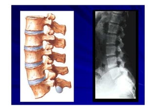 Generalidades Anatomia Parte1