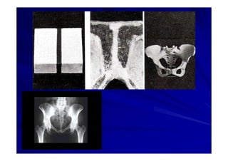Generalidades Anatomia Parte1