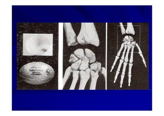Generalidades Anatomia Parte1