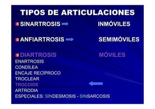 Generalidades Anatomia Parte1