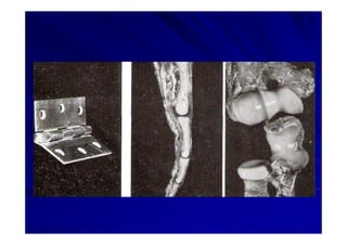 Generalidades Anatomia Parte1