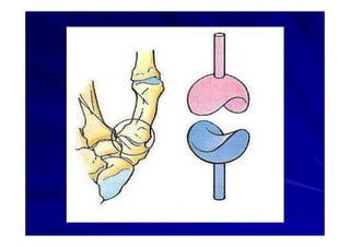 Generalidades Anatomia Parte1