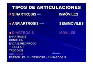 Generalidades Anatomia Parte1