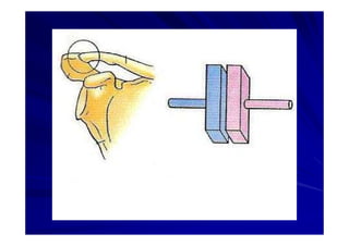 Generalidades Anatomia Parte1