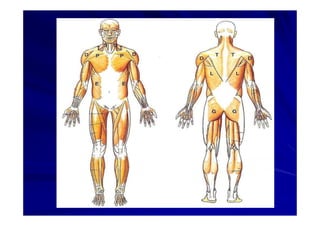 Generalidades Anatomia Parte1