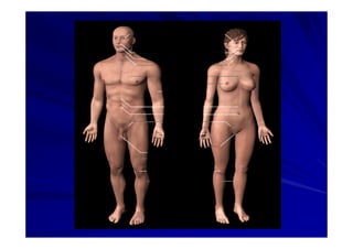 Generalidades Anatomia Parte1