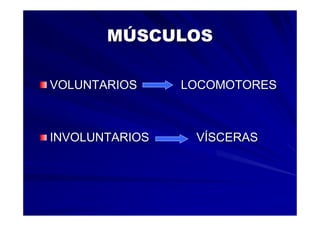 Generalidades Anatomia Parte1