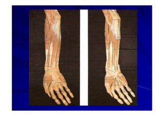 Generalidades Anatomia Parte1