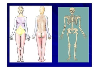 Generalidades Anatomia Parte1