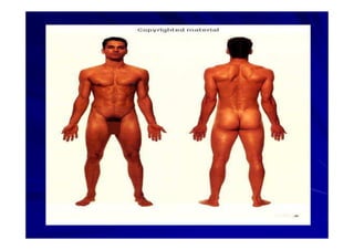 Generalidades Anatomia Parte1