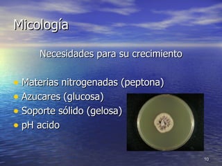 Micología Necesidades para su crecimiento Materias nitrogenadas (peptona) Azucares (glucosa) Soporte sólido (gelosa) pH acido 