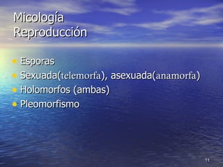 Micología Reproducción Esporas Sexuada( telemorfa ), asexuada( anamorfa ) Holomorfos (ambas) Pleomorfismo 