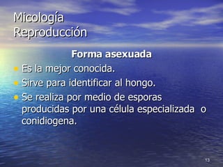 Micología Reproducción  Forma asexuada Es la mejor conocida. Sirve para identificar al hongo. Se realiza por medio de esporas producidas por una célula especializada  o conidiogena. 