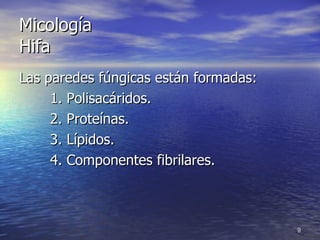 Micología Hifa Las paredes fúngicas están formadas: 1. Polisacáridos. 2. Proteínas. 3. Lípidos. 4. Componentes fibrilares. 