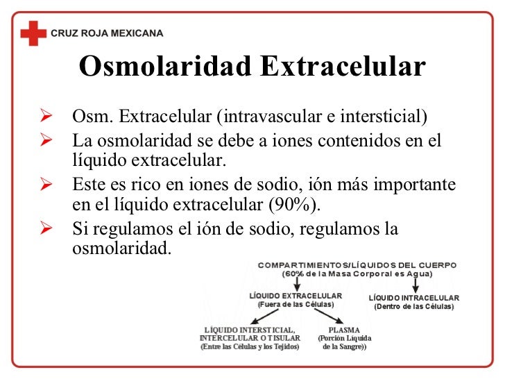Generalidades Fisiologia Osmolaridad
