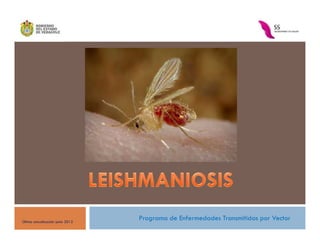 Programa de Enfermedades Transmitidas por VectorÚltima actualización junio 2012
 