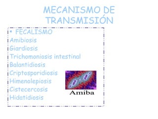 MECANISMO DE TRANSMISIÓN FECALISMO Amibiosis Giardiosis Trichomoniosis intestinal Balantidiosis Criptosporidiosis Himenolepiosis Cistecercosis Hidatidiosis 