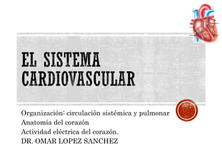 Organización: circulación sistémica y pulmonar
Anatomía del corazón
Actividad eléctrica del corazón.
DR. OMAR LOPEZ SANCHEZ
 