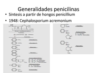 Generalidades penicilinas
• Sintesis a partir de hongos penicillium
• 1948: Cephalosporium acremonium
 
