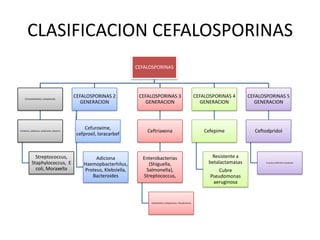CLASIFICACION CEFALOSPORINAS
                                                                            CEFALOSPORINAS




     CEFALOSPORINAS 1 GENERACION
                                                 CEFALOSPORINAS 2            CEFALOSPORINAS 3                               CEFALOSPORINAS 4      CEFALOSPORINAS 5
                                                   GENERACION                  GENERACION                                     GENERACION            GENERACION



                                                      Cefuroxime,
Cefalotina, cefalexina, cefadroxilo, cefadrina                                  Ceftriaxona                                     Cefepime            Ceftodpridol
                                                  cefproxil, loracarbef



               Streptococcus,                             Adiciona            Enterobacterias                                     Resistente a
             Staphylococcus, E                       Haemopbacterhilus,         (Shiguella,                                      betalactamasas          S aureus meticilino resistente


               coli, Moraxella                       Proteus, Klebsiella,      Salmonella),                                          Cubre
                                                        Bacteroides           Streptococcus,                                      Pseudomonas
                                                                                                                                   aeruginosa


                                                                                 Cefatazidime, cefoperazona : Pseudomonas
 