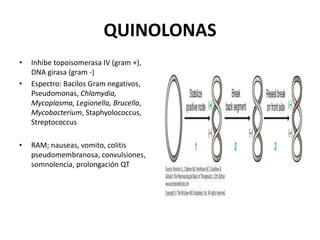 QUINOLONAS
•   Inhibe topoisomerasa IV (gram +),
    DNA girasa (gram -)
•   Espectro: Bacilos Gram negativos,
    Pseudomonas, Chlamydia,
    Mycoplasma, Legionella, Brucella,
    Mycobacterium, Staphyolococcus,
    Streptococcus

•   RAM; nauseas, vomito, colitis
    pseudomembranosa, convulsiones,
    somnolencia, prolongación QT
 