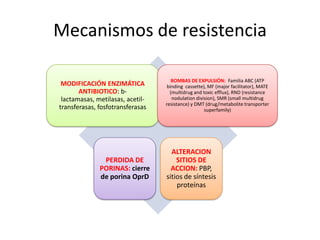 Mecanismos de resistencia

                                     BOMBAS DE EXPULSIÓN: Familia ABC (ATP
 MODIFICACIÓN ENZIMÁTICA           binding cassette), MF (major facilitator), MATE
       ANTIBIOTICO: b-              (multidrug and toxic efflux), RND (resistance
 lactamasas, metilasas, acetil-      nodulation division), SMR (small multidrug
                                  resistance) y DMT (drug/metabolite transporter
transferasas, fosfotransferasas                     superfamily)




                                    ALTERACION
               PERDIDA DE             SITIOS DE
              PORINAS: cierre       ACCION: PBP,
              de porina OprD      sitios de síntesis
                                      proteínas
 