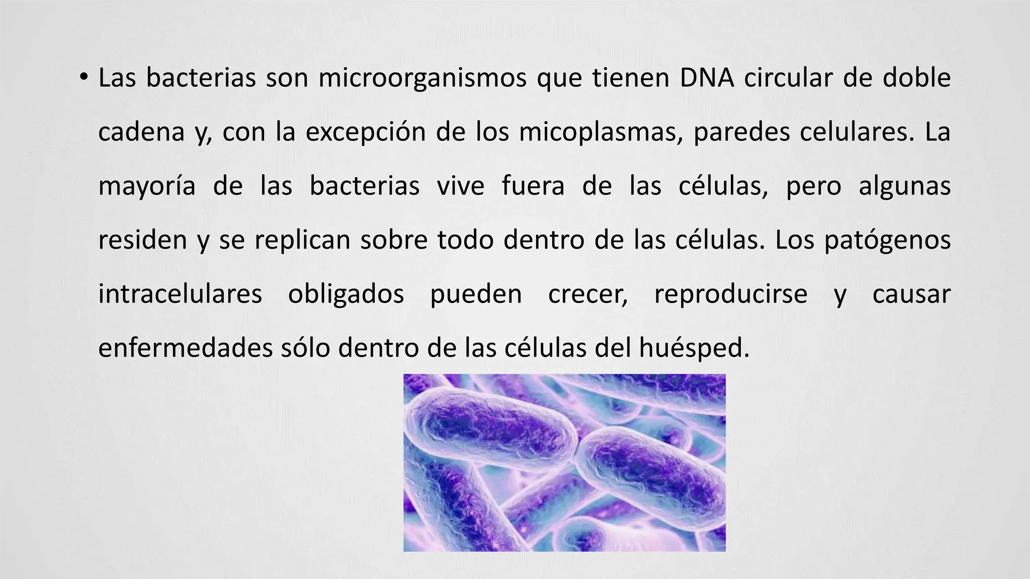 GENERALIDADES BACTERIANAS MICROBIOLOGIA | PPTX